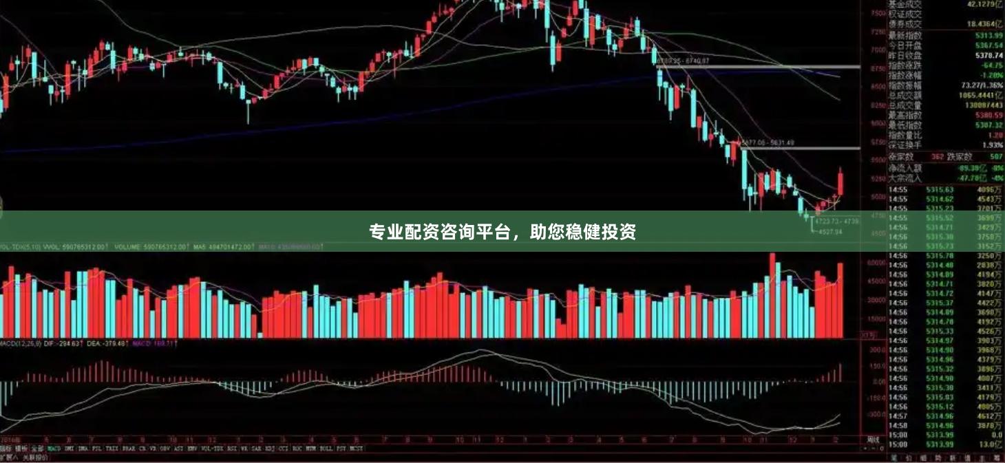 专业配资咨询平台,助您稳健投资