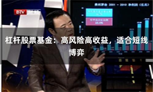 杠杆股票基金：高风险高收益，适合短线博弈