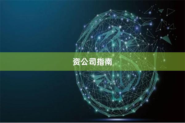 资公司指南